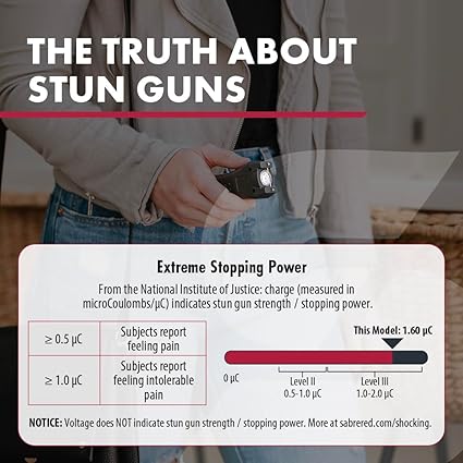 1 Stun Gun and Flashlight